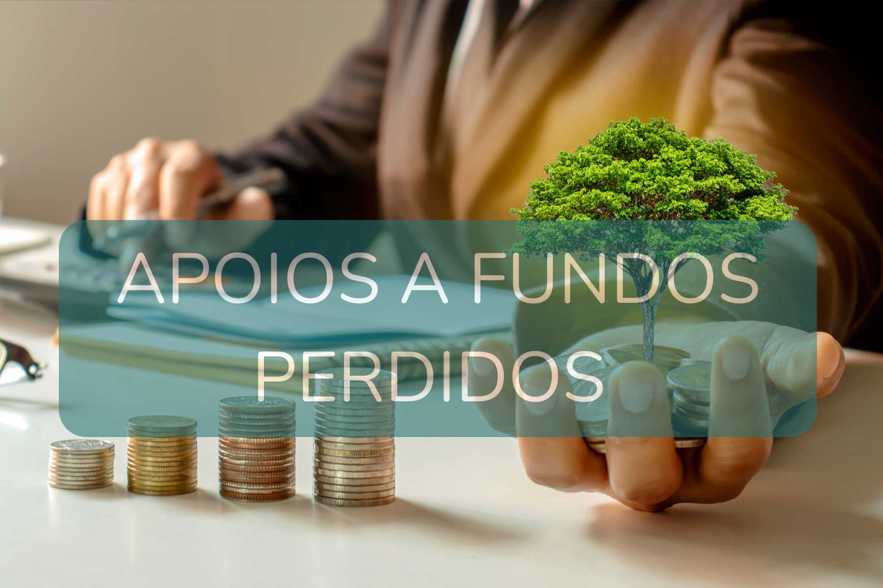incentivos a fundos perdidos